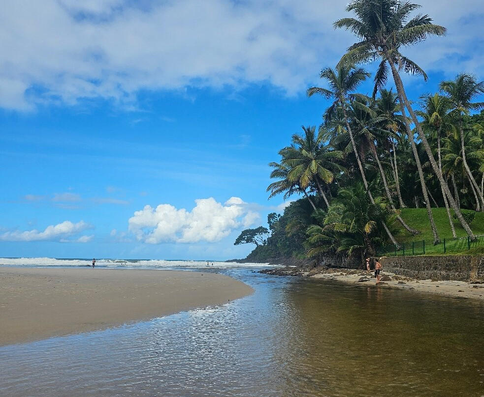 Jeribucacu Beach-Itacare必去景点
