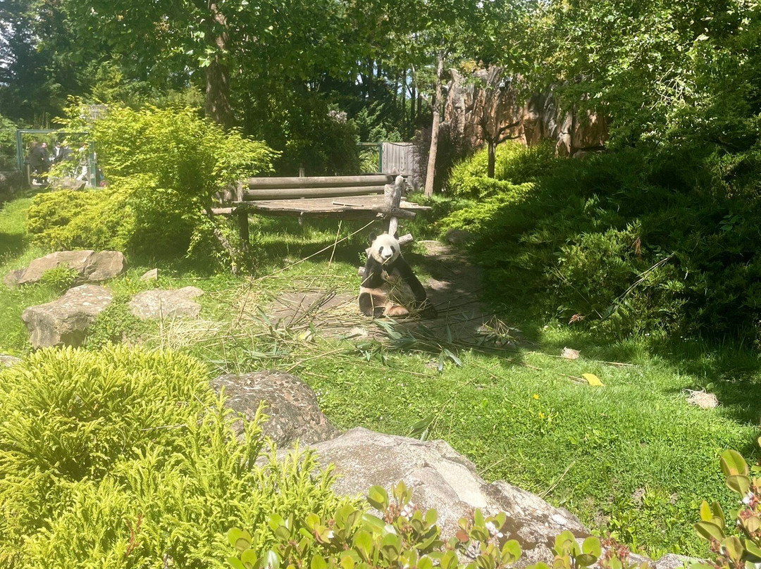 ZooParc de Beauval-圣艾尼昂必去景点