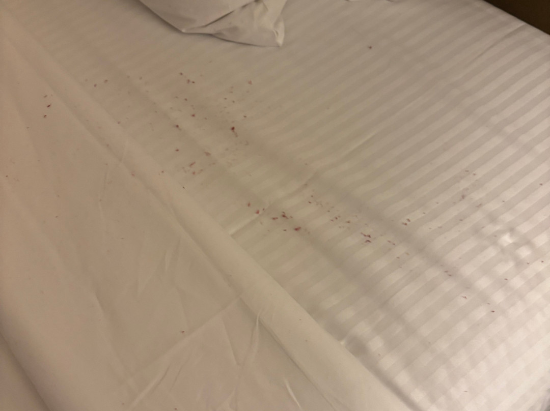 大西洋城秀船酒店主图