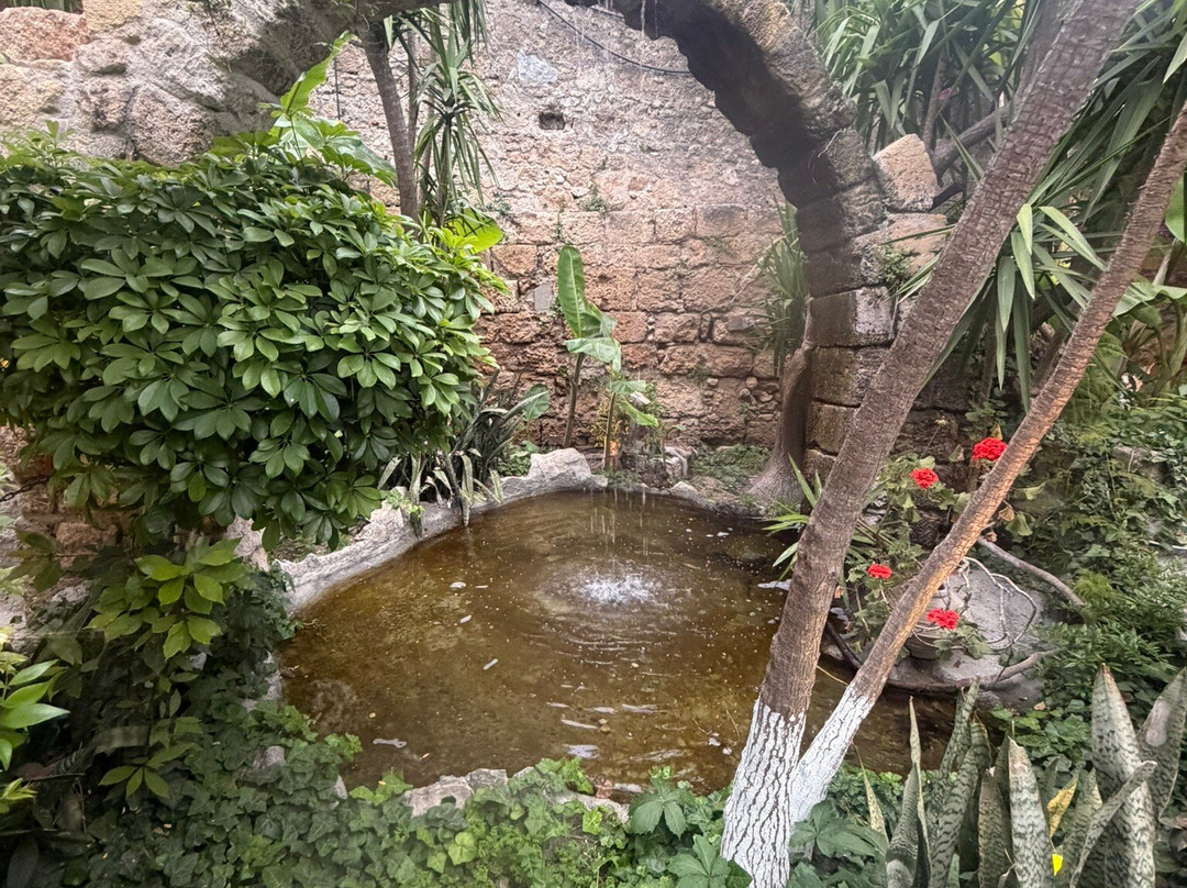 Socratous Garden-罗德城必去景点
