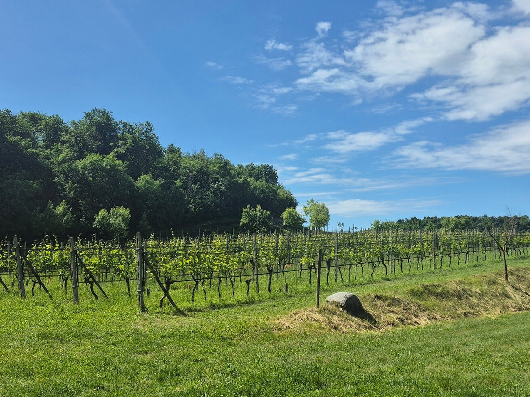 Podere Dei Folli-Polpenazze del Garda必去景点