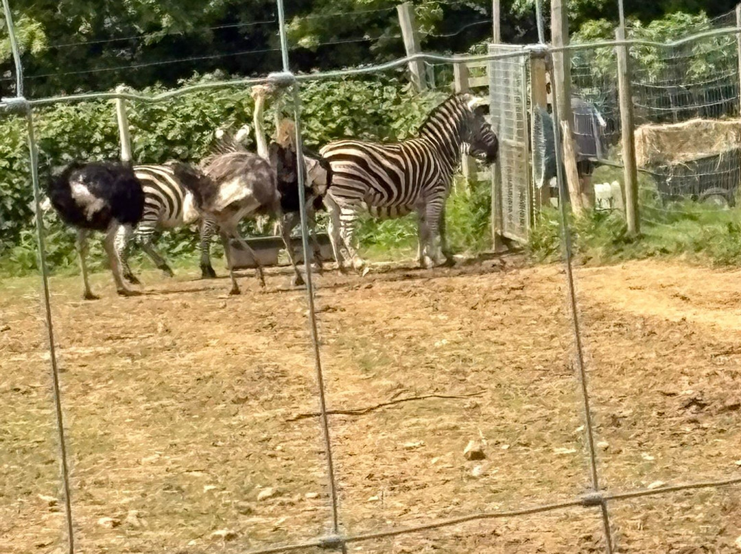 Bridlington Animal Park-布里德灵顿必去景点