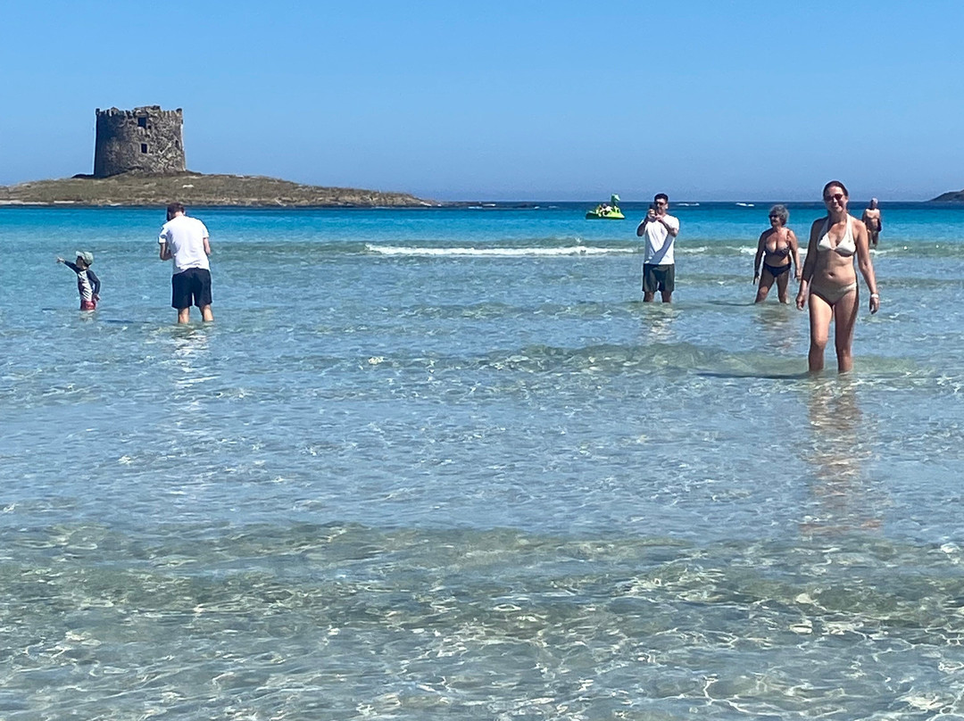 La Pelosa Beach-斯廷蒂诺必去景点