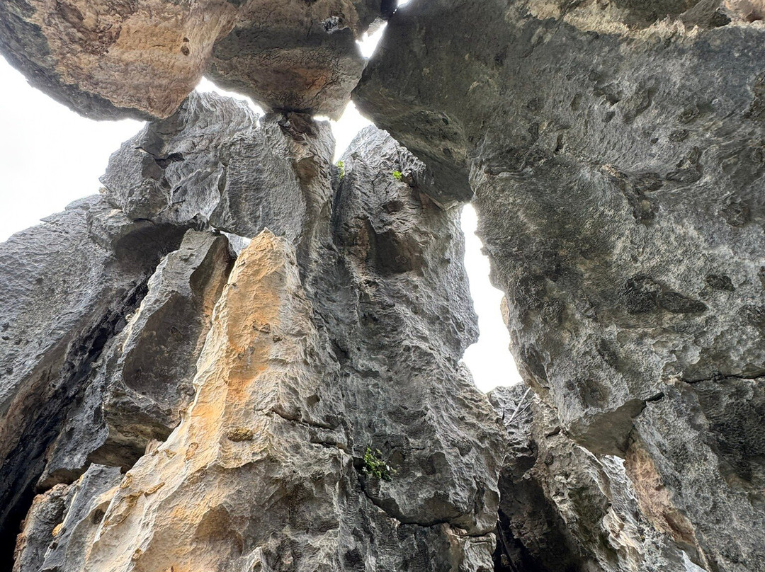 石林风景区-石林彝族自治县必去景点