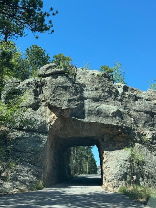 Black Hills National Forest-卡斯特必去景点