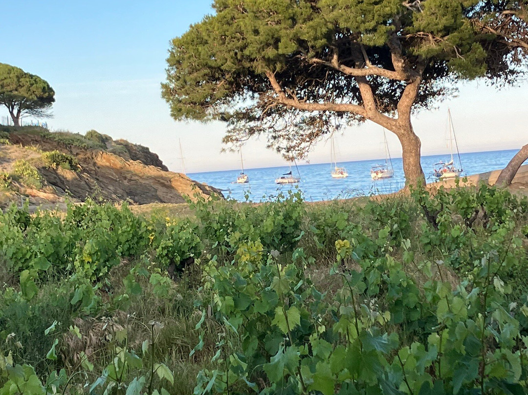 Le Clos de Paulilles-Port-Vendres必去景点