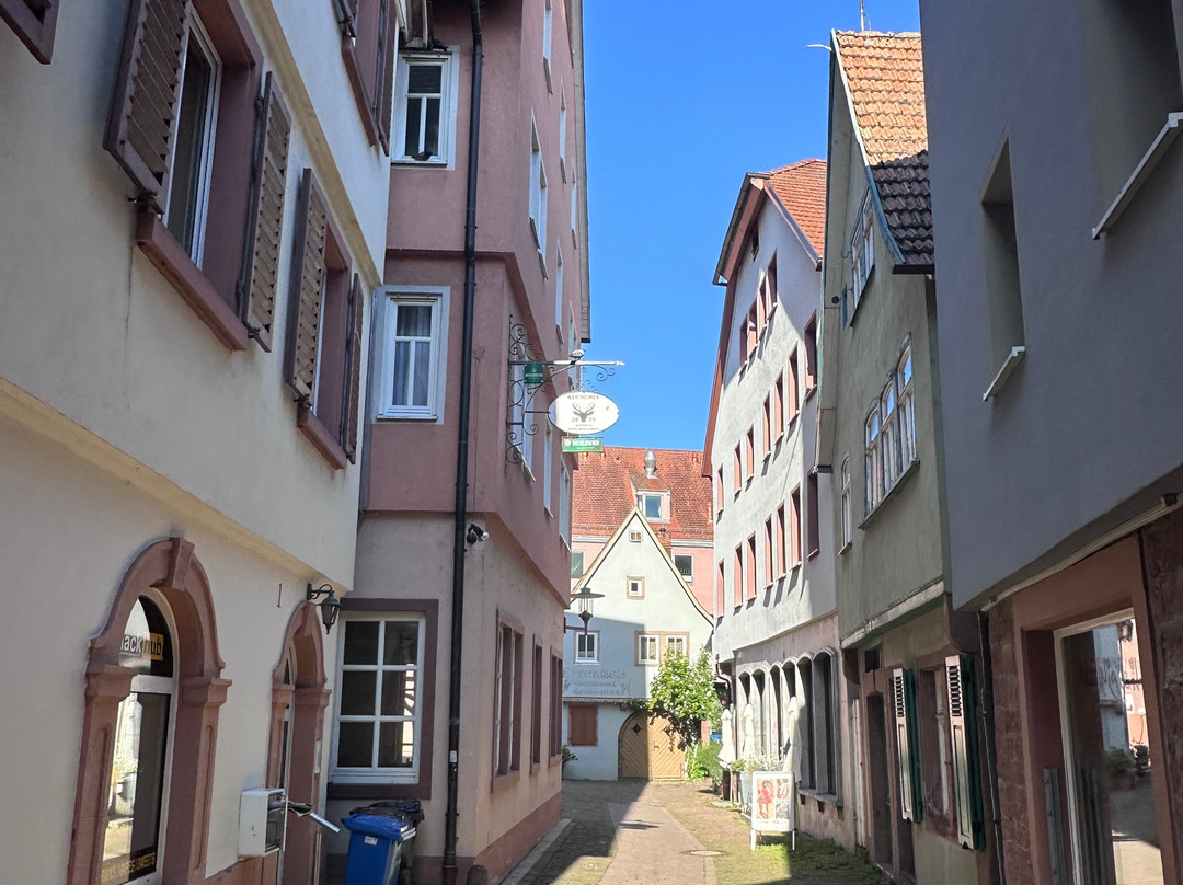 Neuplatz / Malerwinkel-沃特海姆必去景点
