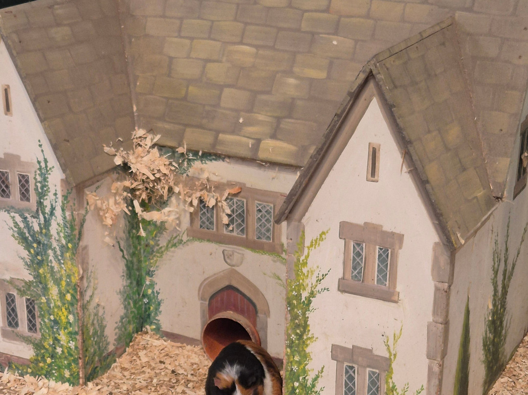 Farmer Teds Adventure Farm-Ormskirk必去景点