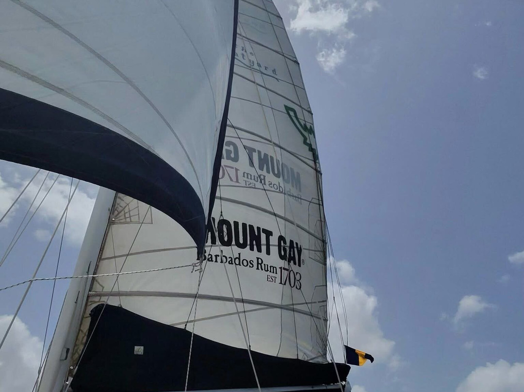 Cool Runnings Catamaran Cruises-布里奇顿必去景点
