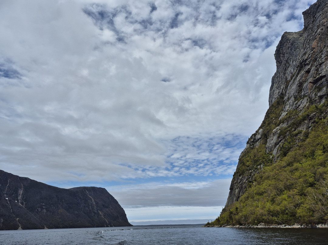BonTours Boat Tours-Rocky Harbour必去景点