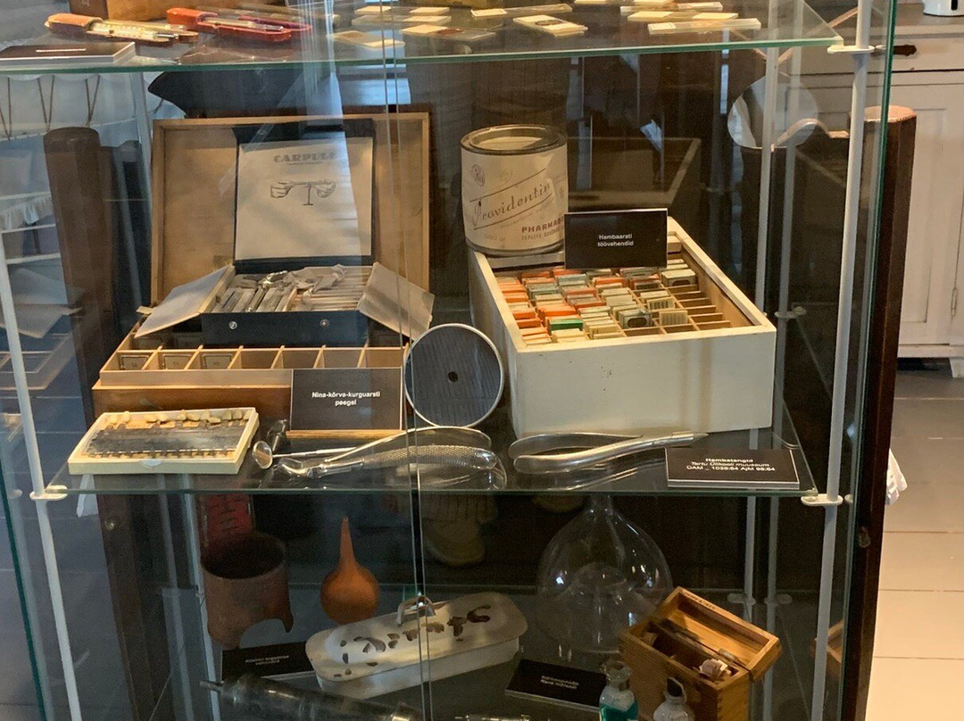 Wittensteini Tegevusmuuseum-派德必去景点