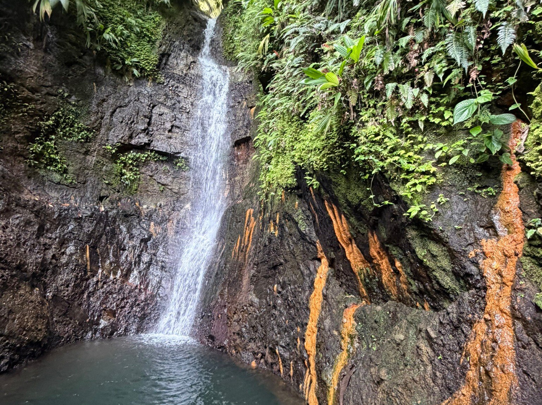 Seven Sisters Waterfalls Grenada-Grand Etang National Park必去景点