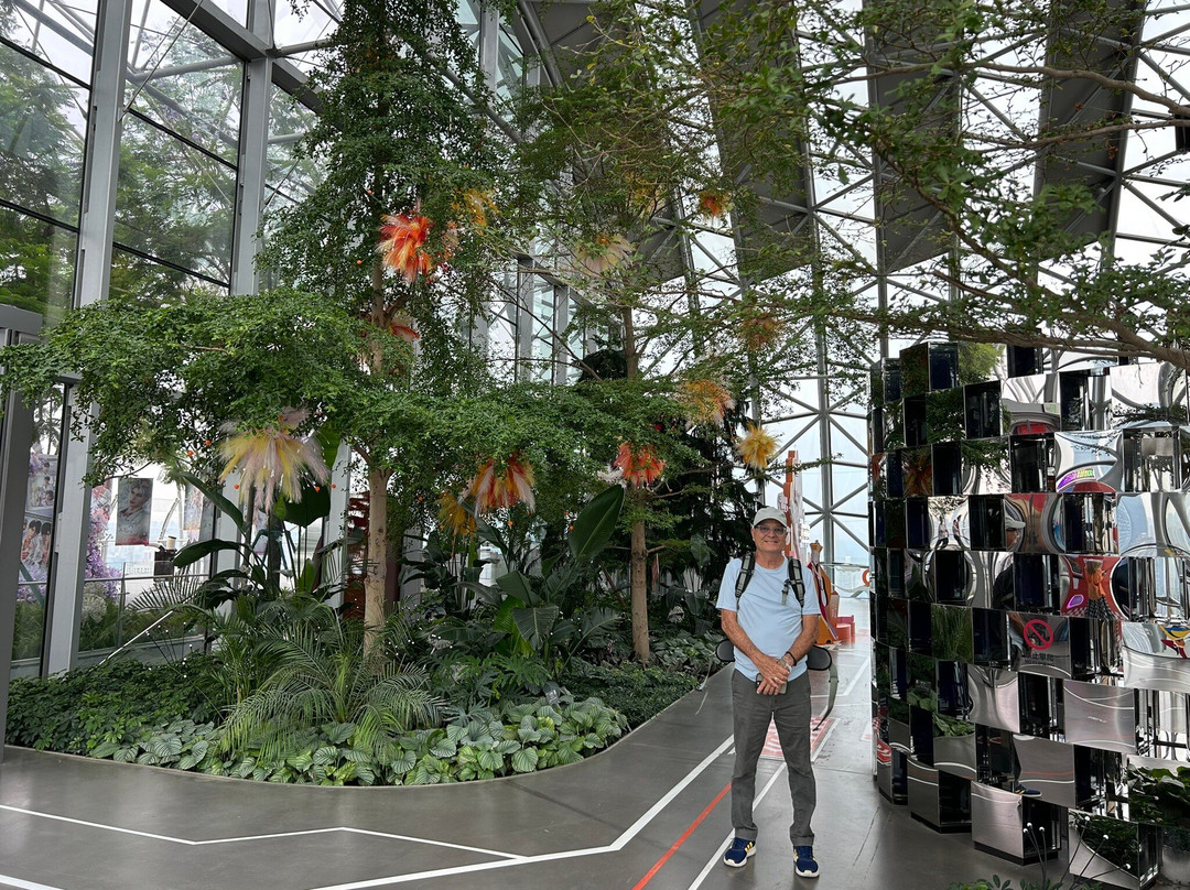 Raffles City Mall Chongqing