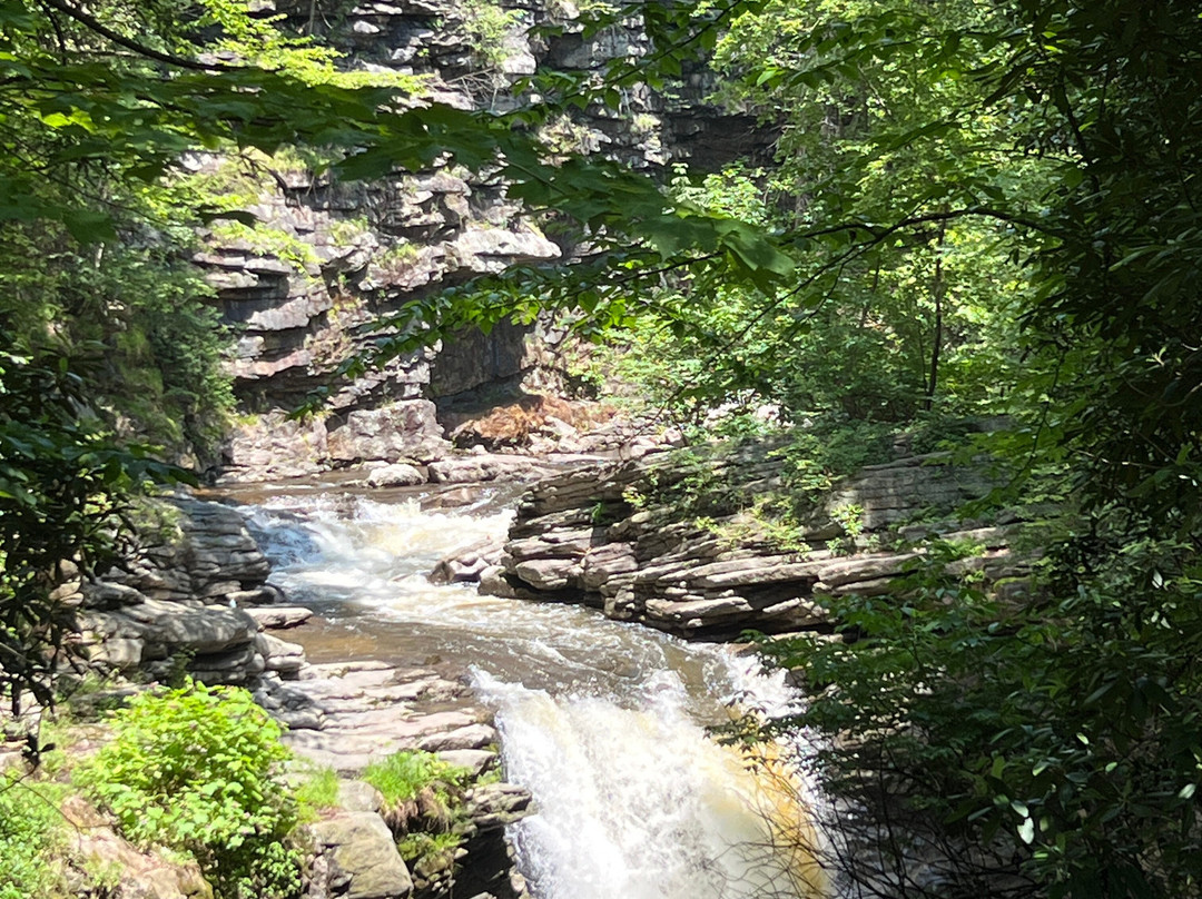Nay Aug Park-斯克兰顿必去景点