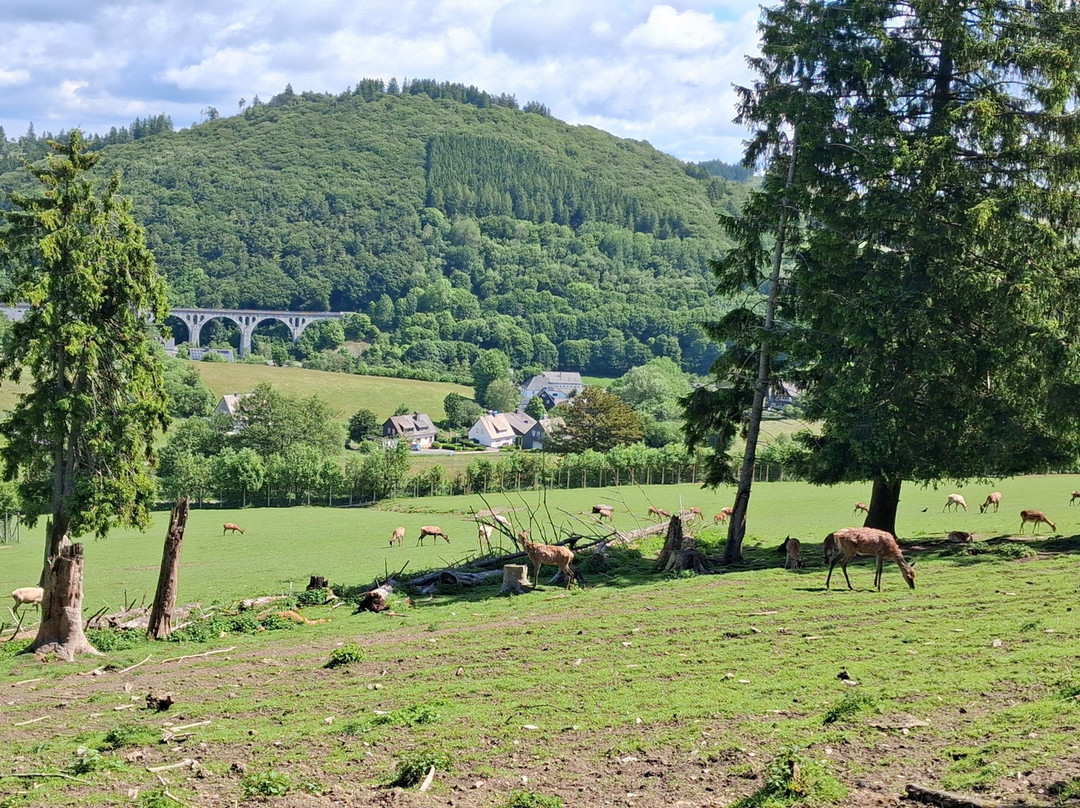 Wild- und Freizeitpark Willingen-Willingen必去景点