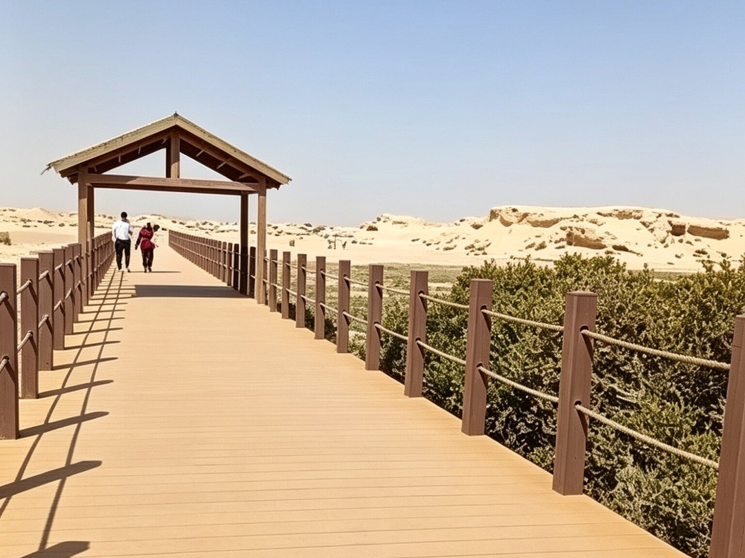 Purple Island - Al Khor Island-Al Khor必去景点