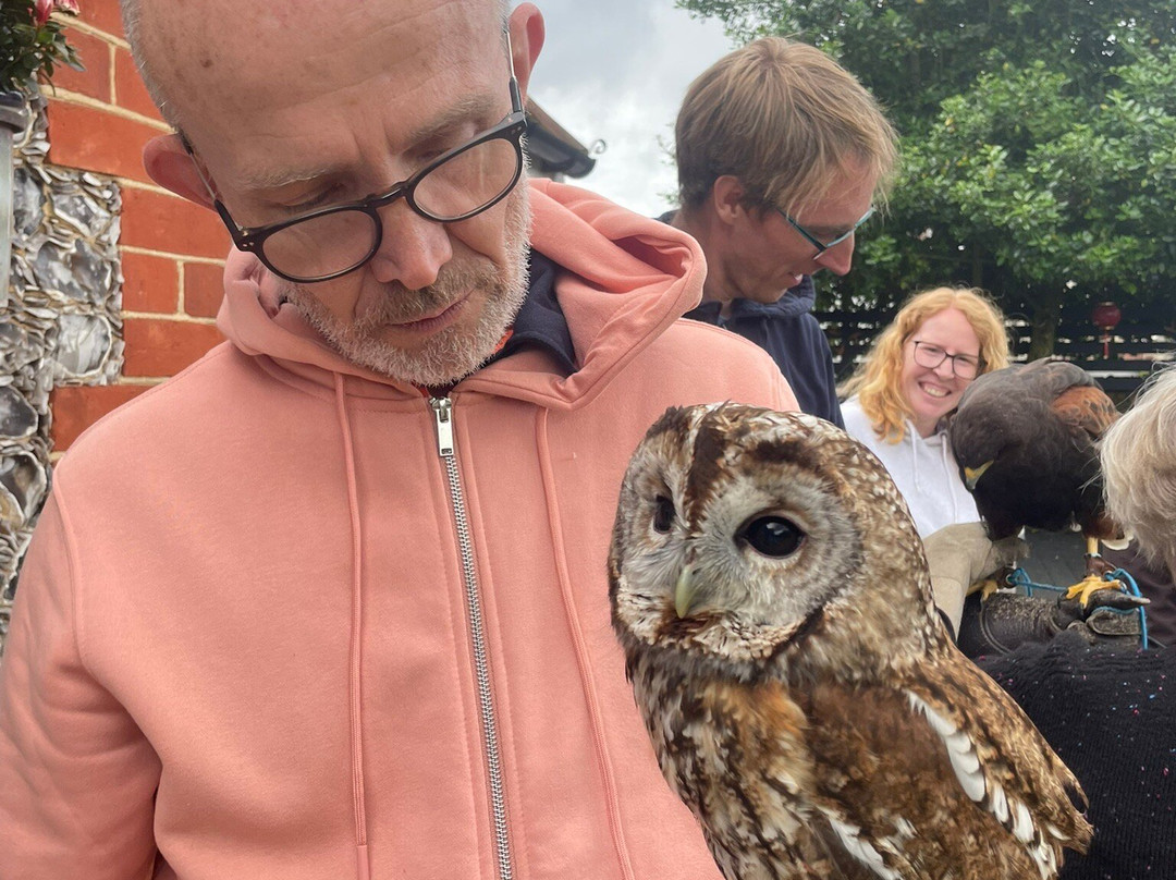 West Sussex Falconry-Compton必去景点
