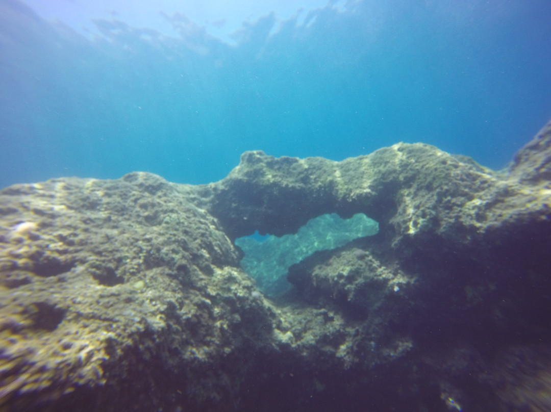 Royal Octopus DIVE CENTER-Kolymbari必去景点
