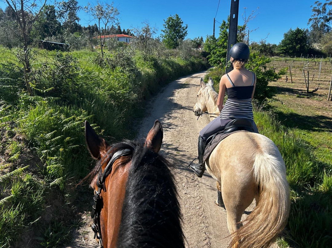 ATV & Horse Tours Central Portugal-Nogueira do Cravo必去景点