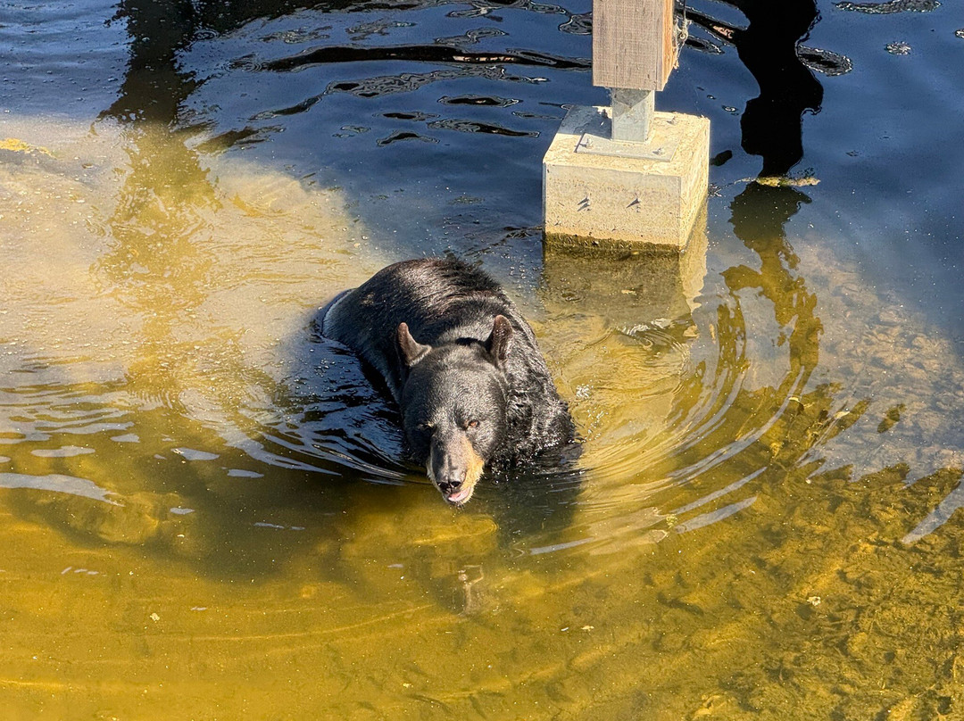 Parc Animalier De Sainte-croix-Rhodes必去景点
