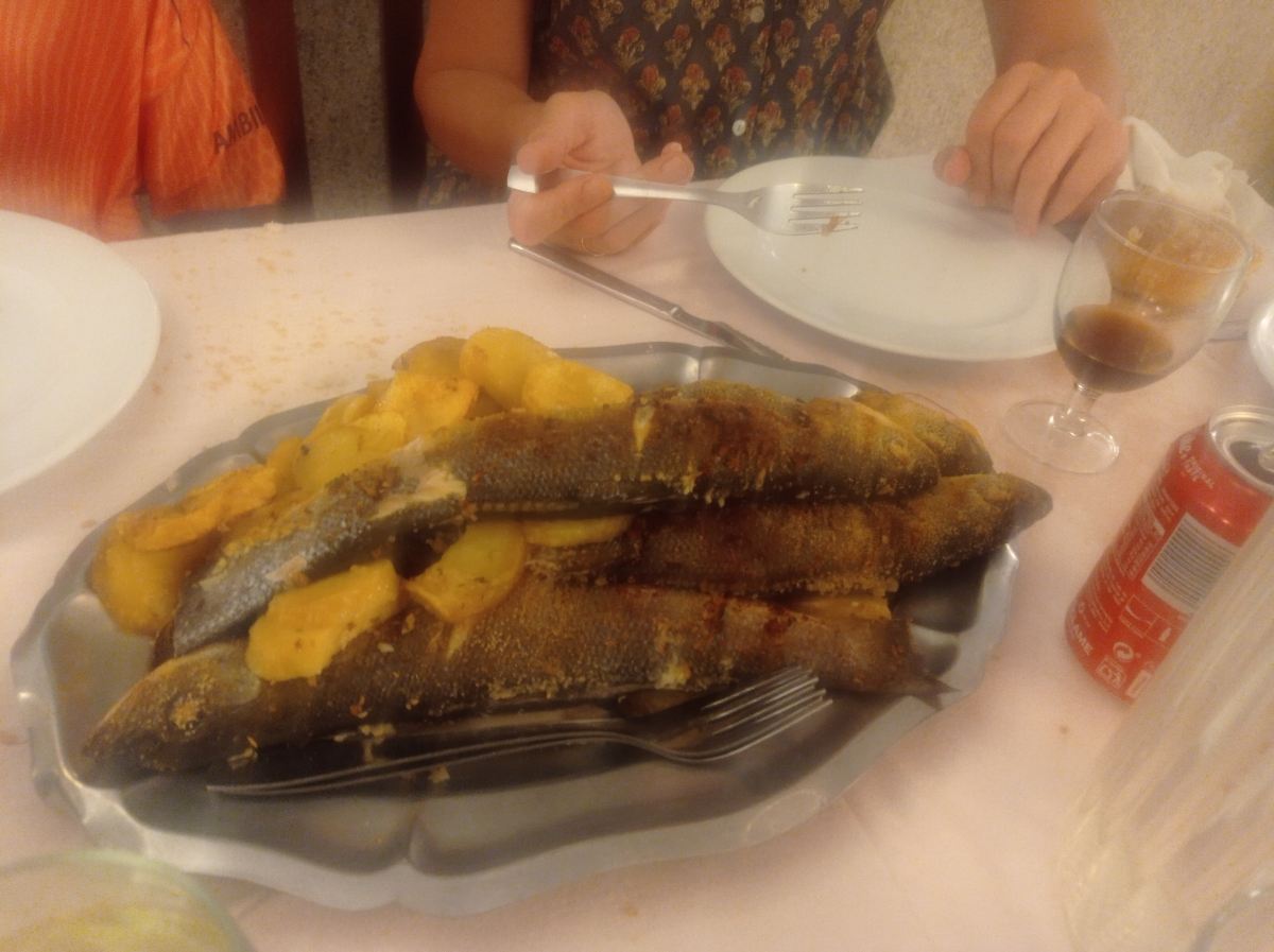 Hotel Pinar-旅行者