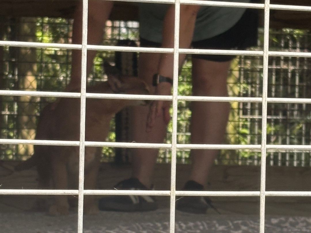 TGR Exotics Wildlife Park-斯普林必去景点