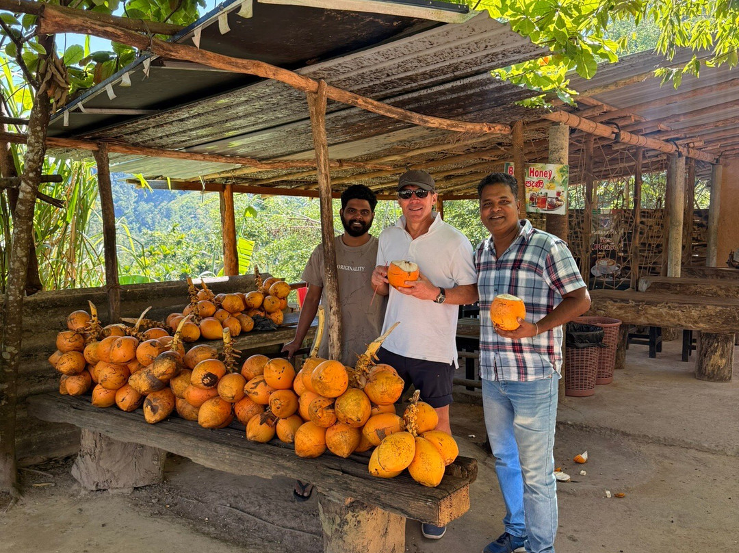 Sri Lanka Driver Tours-Yatiyana必去景点