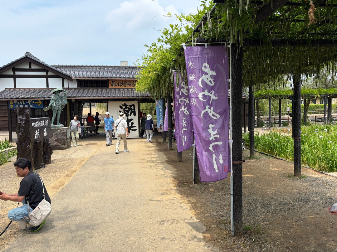 Suigo Itako Ayame Garden-潮来市必去景点