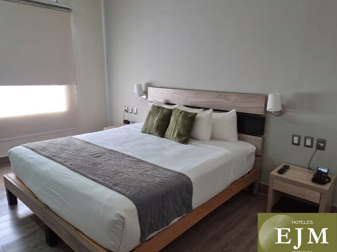 Hoteles EJM Premium