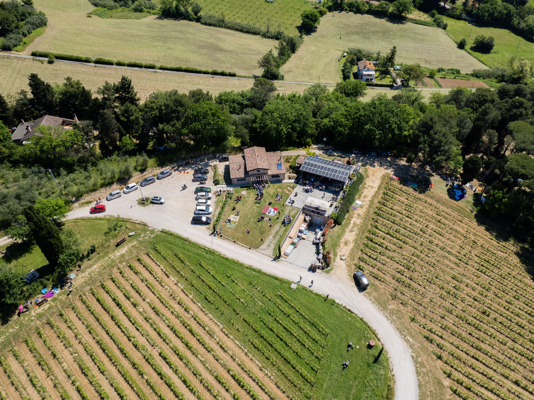 Azienda Agricola De Leyva-佩萨罗必去景点