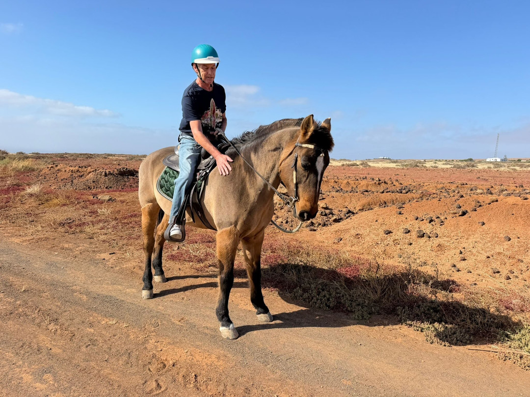 Horses Lanzarote-Teseguite必去景点