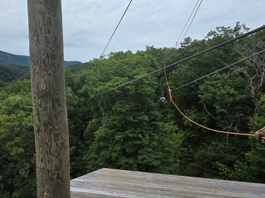 Smoky Mountain Ziplines-皮金福奇必去景点