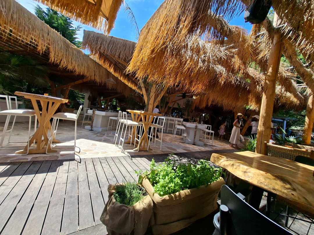 Pachis Beach Bar-Skala Rachoniou必去景点