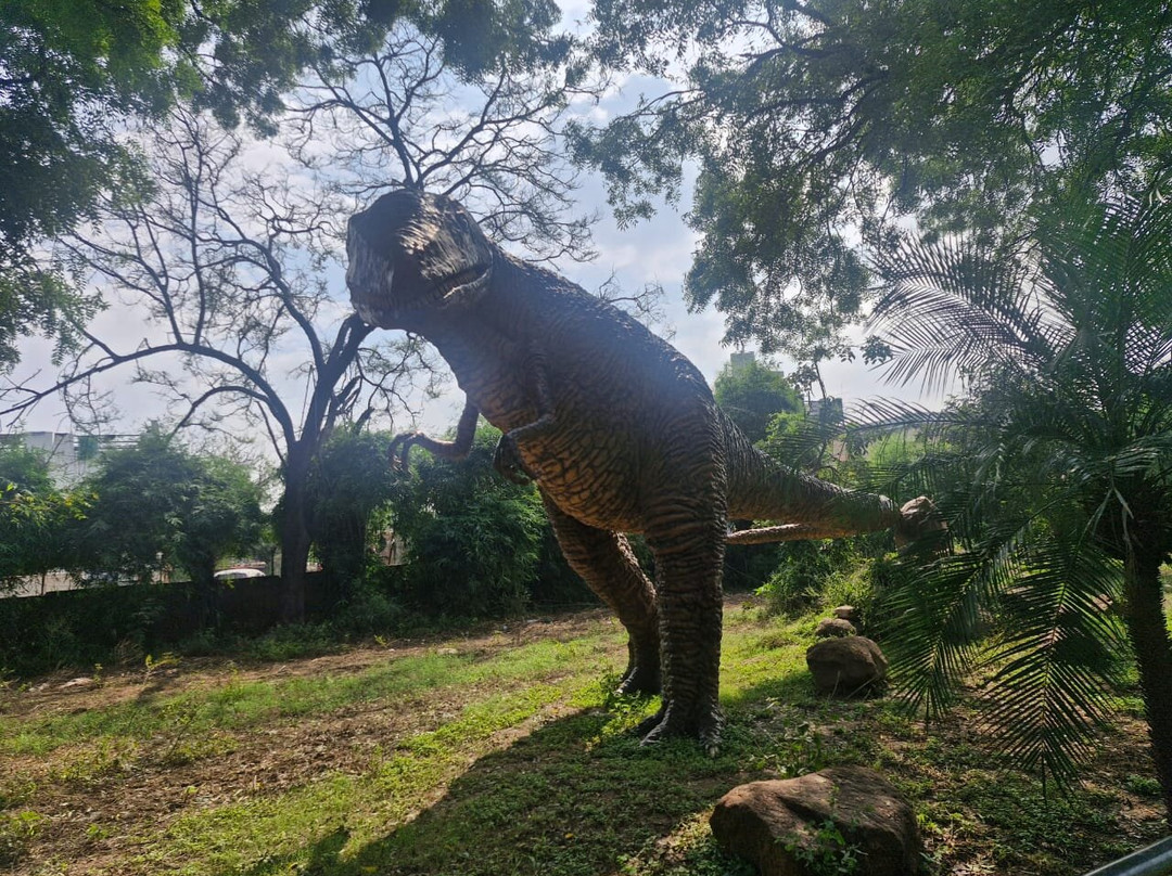 Indroda Nature Park-甘地纳加尔必去景点