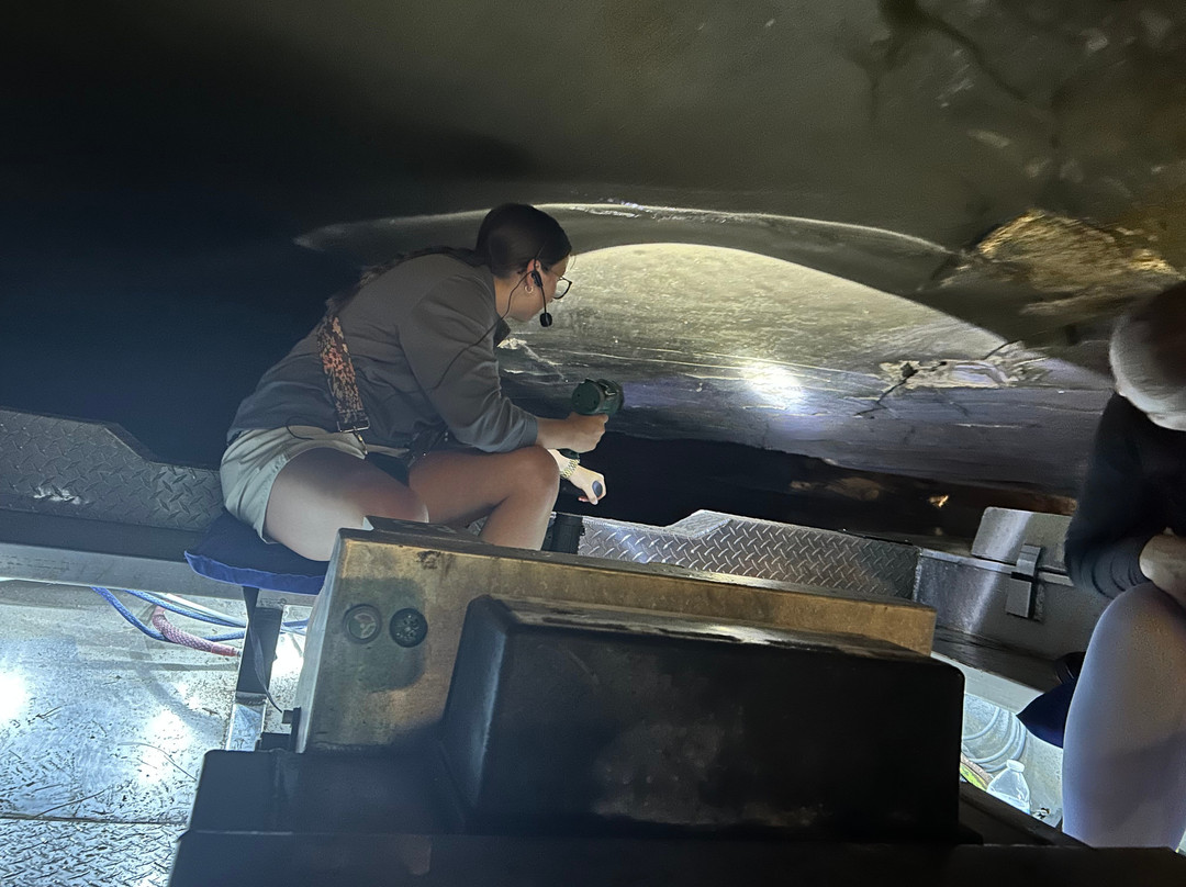 Lost River Cave-鲍灵格林必去景点