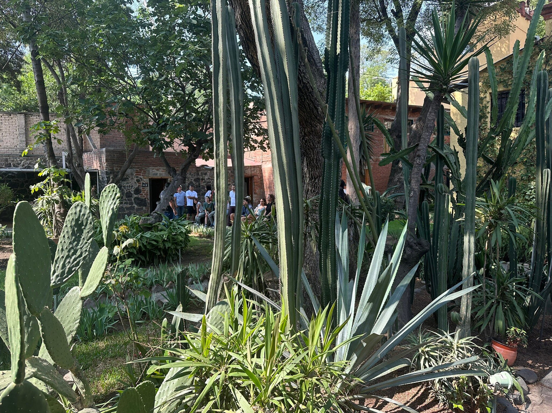 Museo Casa De Leon Trotsky-墨西哥城必去景点