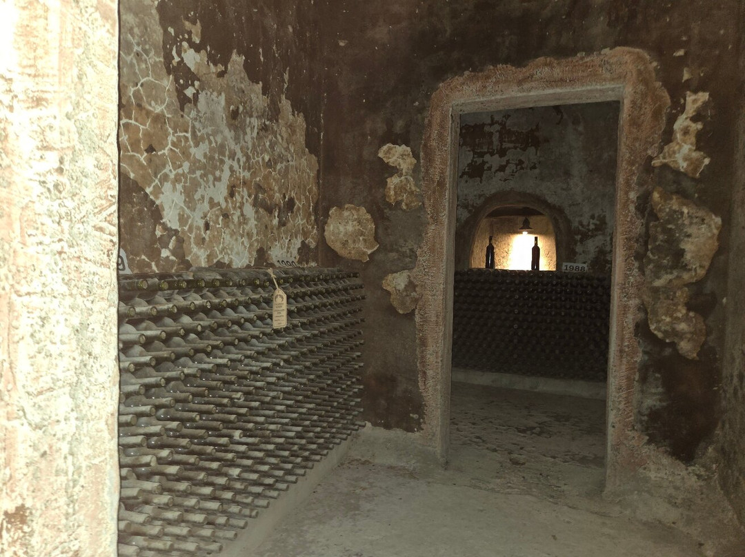 Callinico Winery Museum-Zakinthos必去景点