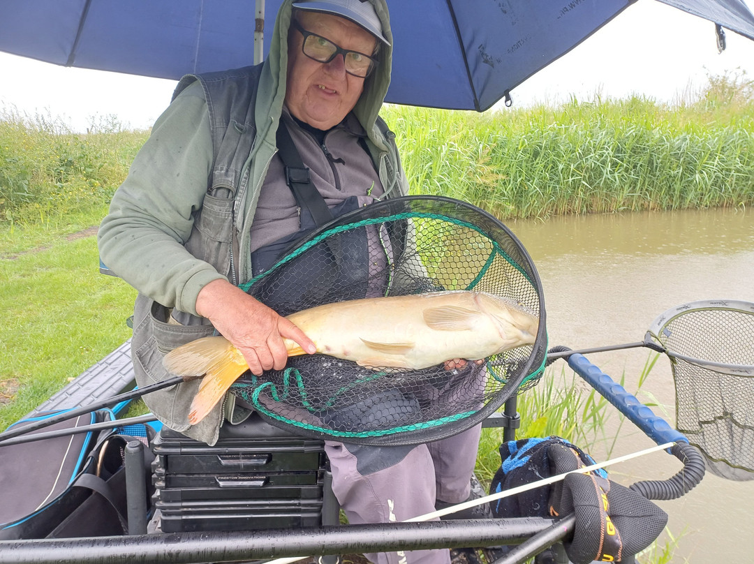 White House Farm Fishery-Billinghay必去景点