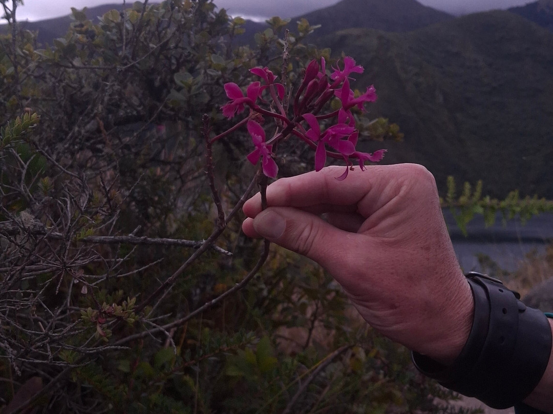 Cuicocha Lake-Laguna Cuicocha必去景点
