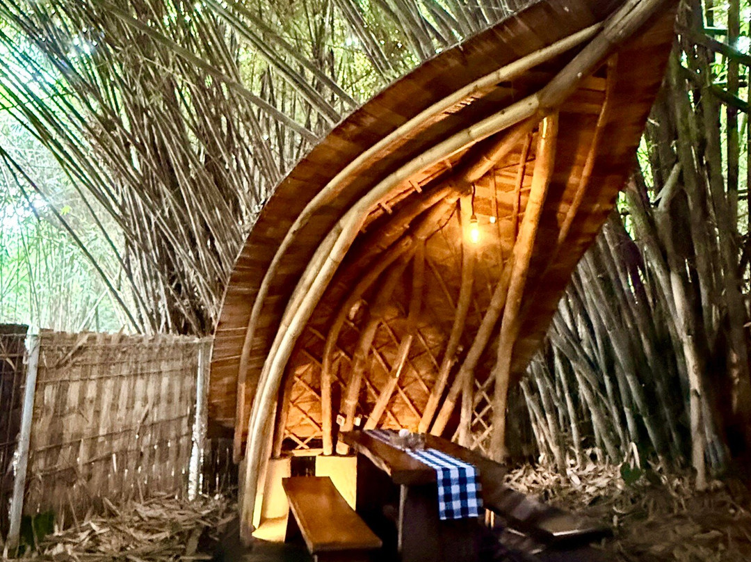 Penglipuran Bamboo Forest-Bangli必去景点