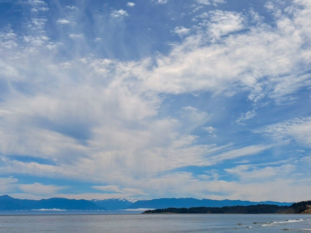 Esquimalt Lagoon Migratory Bird Sanctuary-Colwood必去景点