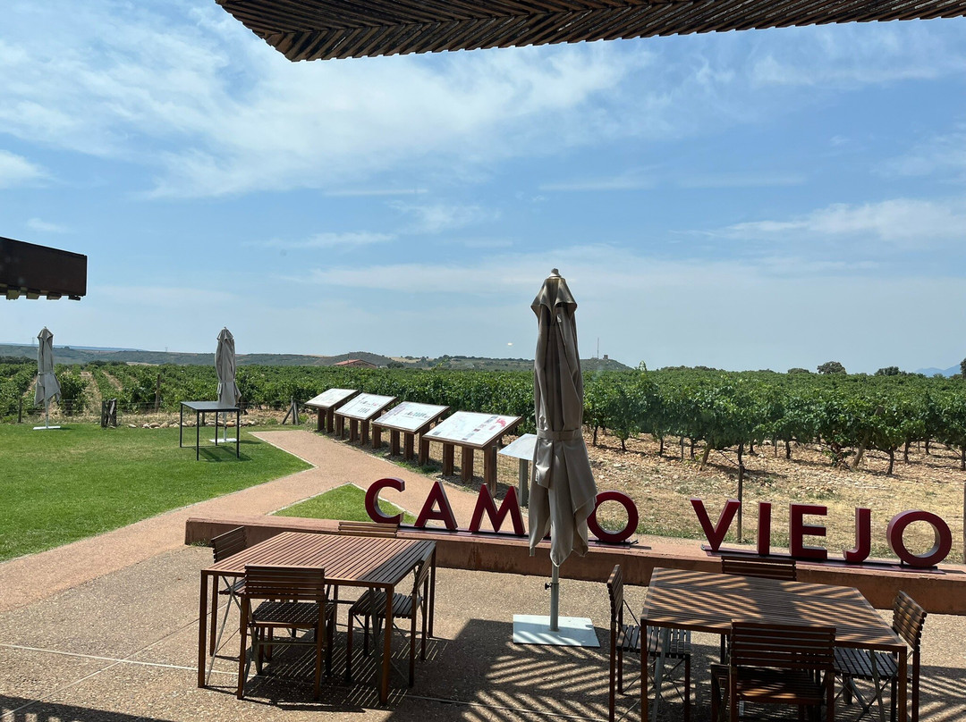 Bodegas Campo Viejo-洛格罗尼奥必去景点