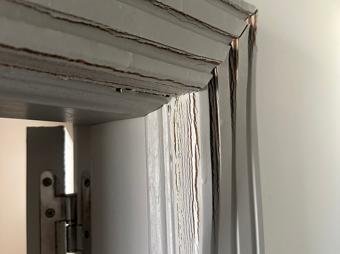 富埃特文图拉岛美利亚酒店主图