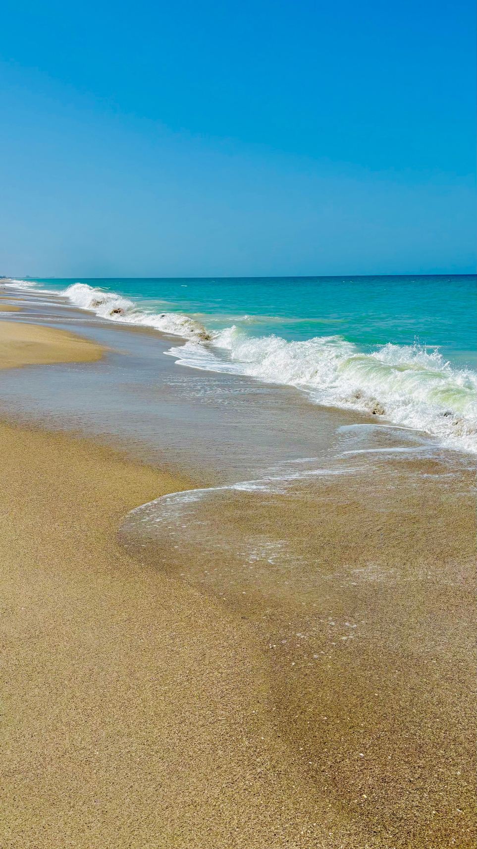 Sandy Shoes Beach Hotel-旅行者