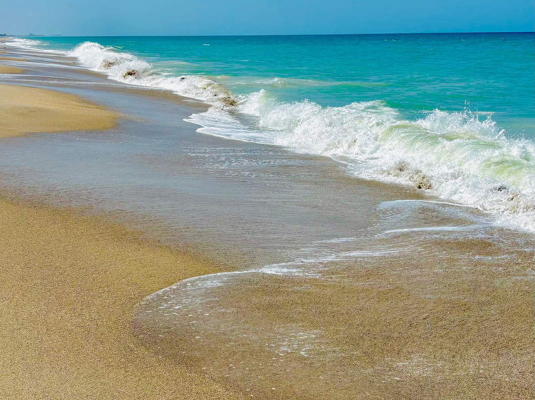 Sandy Shoes Beach Hotel主图