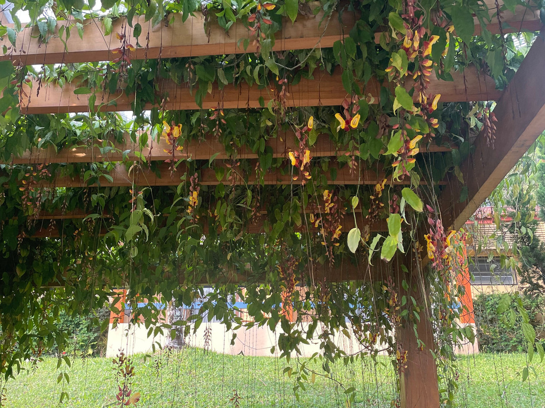 Matiz Resort Igaratá Spa e Eventos主图