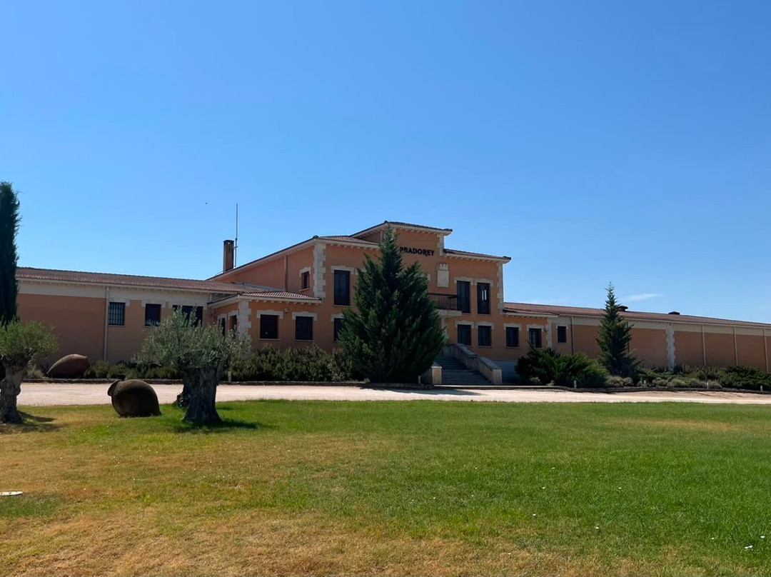 Bodegas Y Vinedos PradoRey-Gumiel Del Mercado必去景点