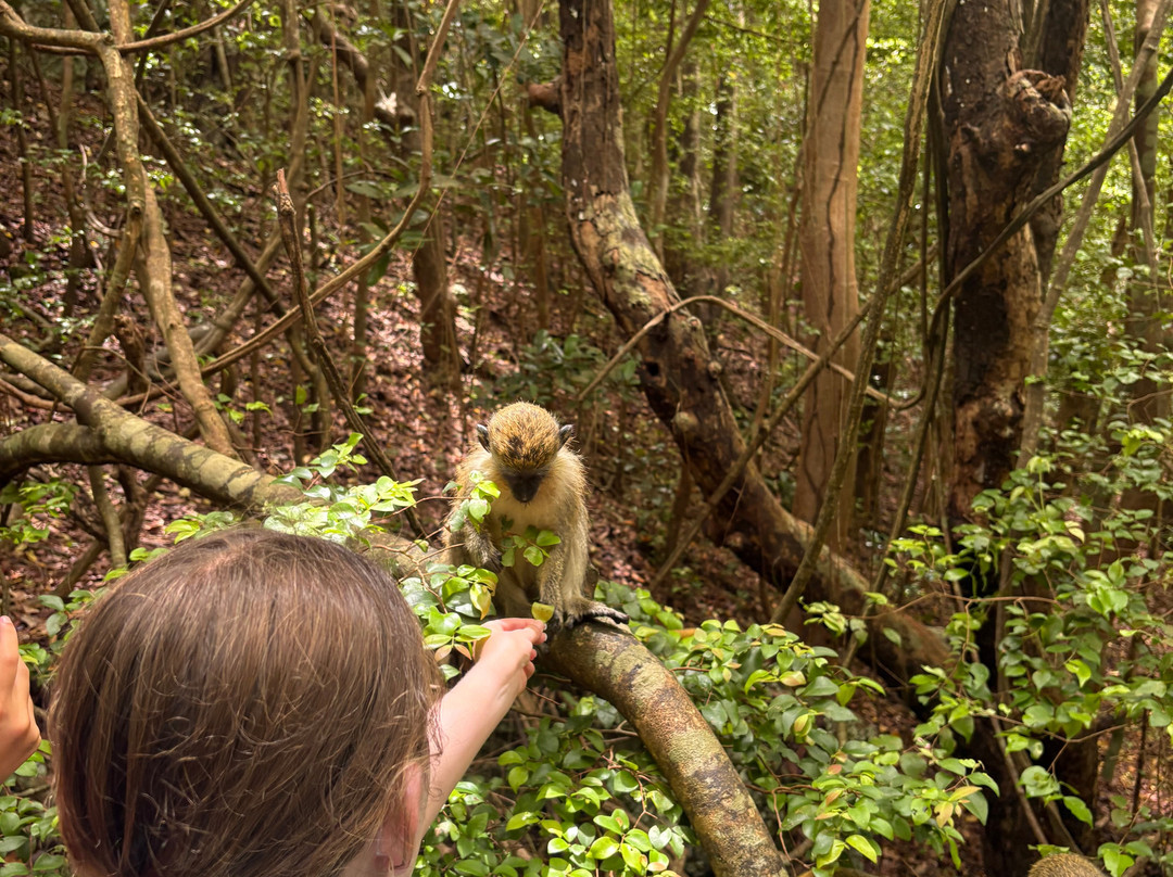 Barbados Wildlife Reserve-Saint Peter Parish必去景点