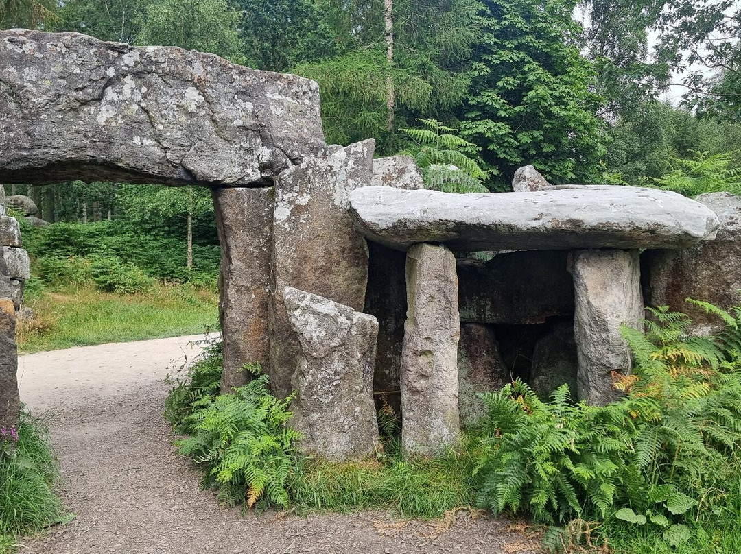 Druids Temple-里彭必去景点