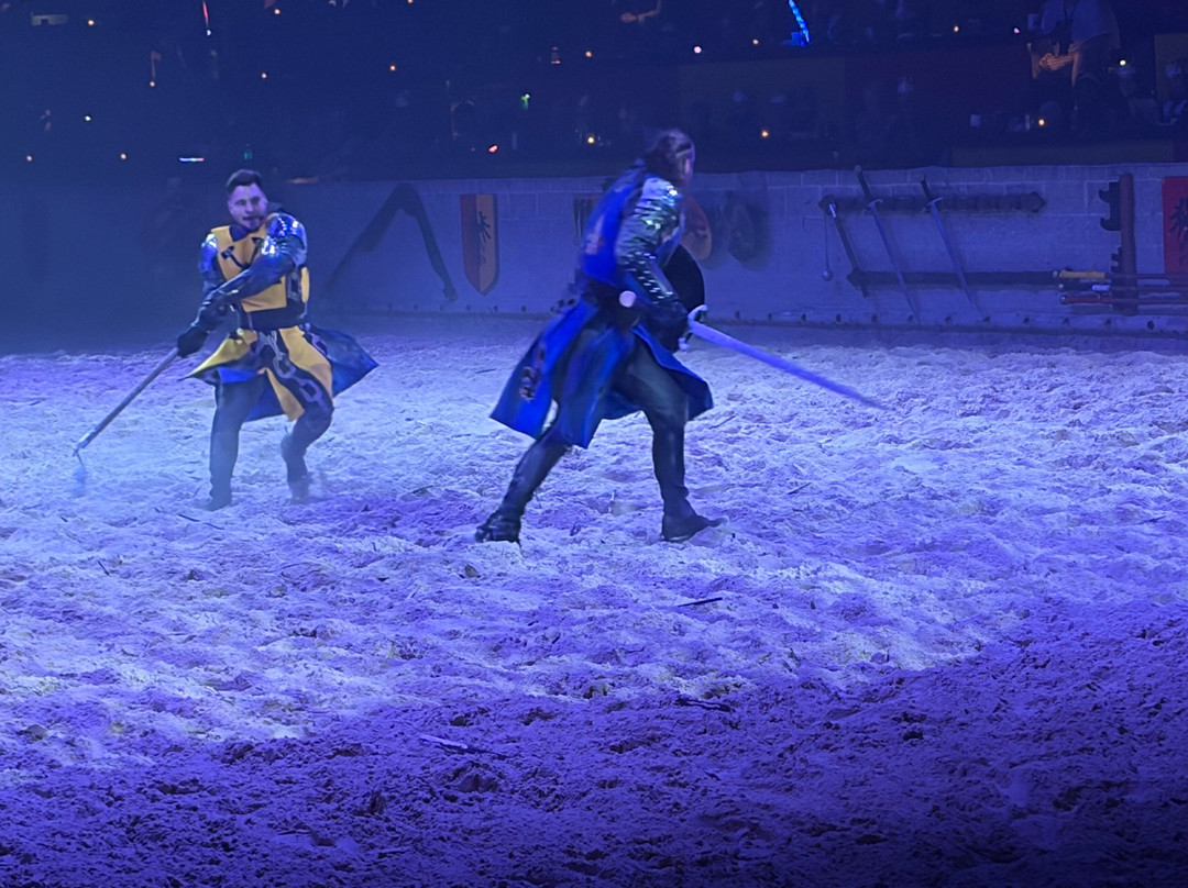 Medieval Times-绍姆堡必去景点